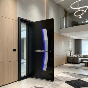 aluminum alloy door (2)