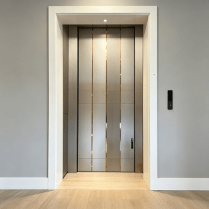 external minimalist pivot entry door | modern residential front door