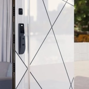 qingdun modern pivot cast aluminum front entry door, geometric embossed design villa main door